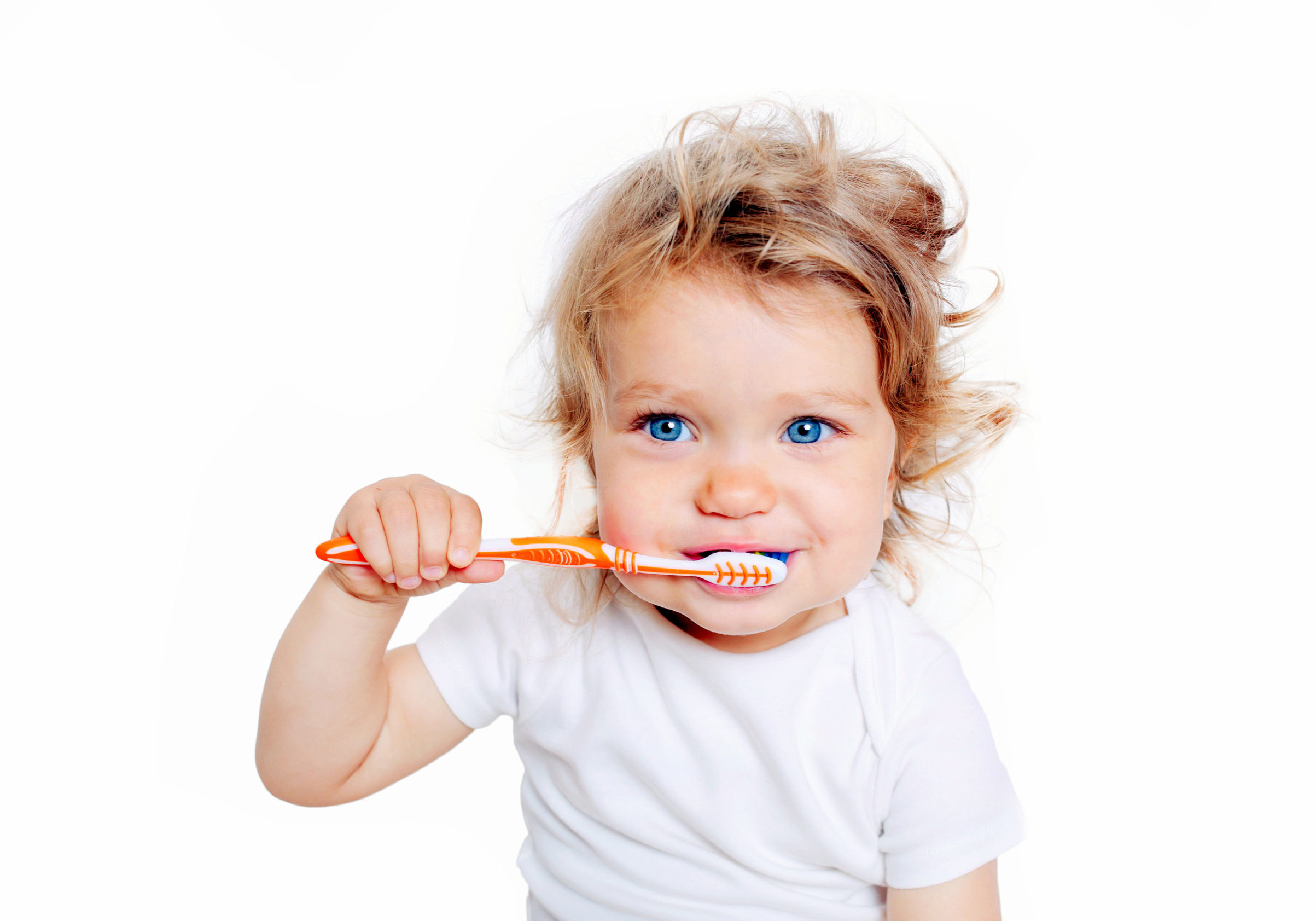 Curly baby toddler brushing teeth. Isolated on white background.